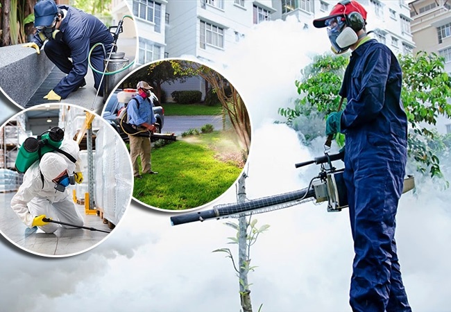 Diệt côn trùng Hải Phòng uy tín, an toàn