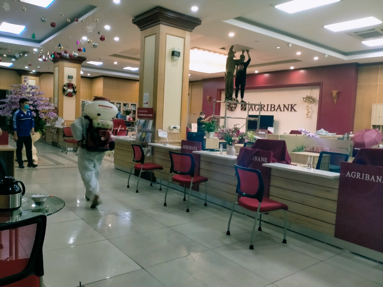 Báo giá dịch vụ phun thuốc muỗi tại Hải Phòng